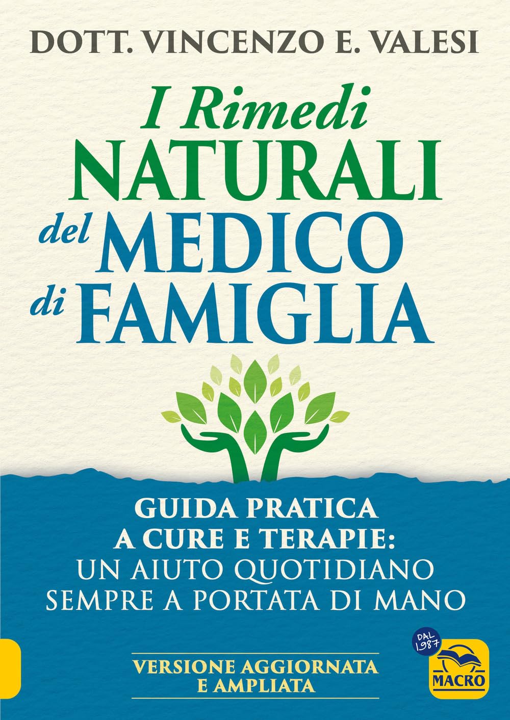 I rimedi naturali del medico di famiglia. Consigli e terapie per le malattie più diffuse book