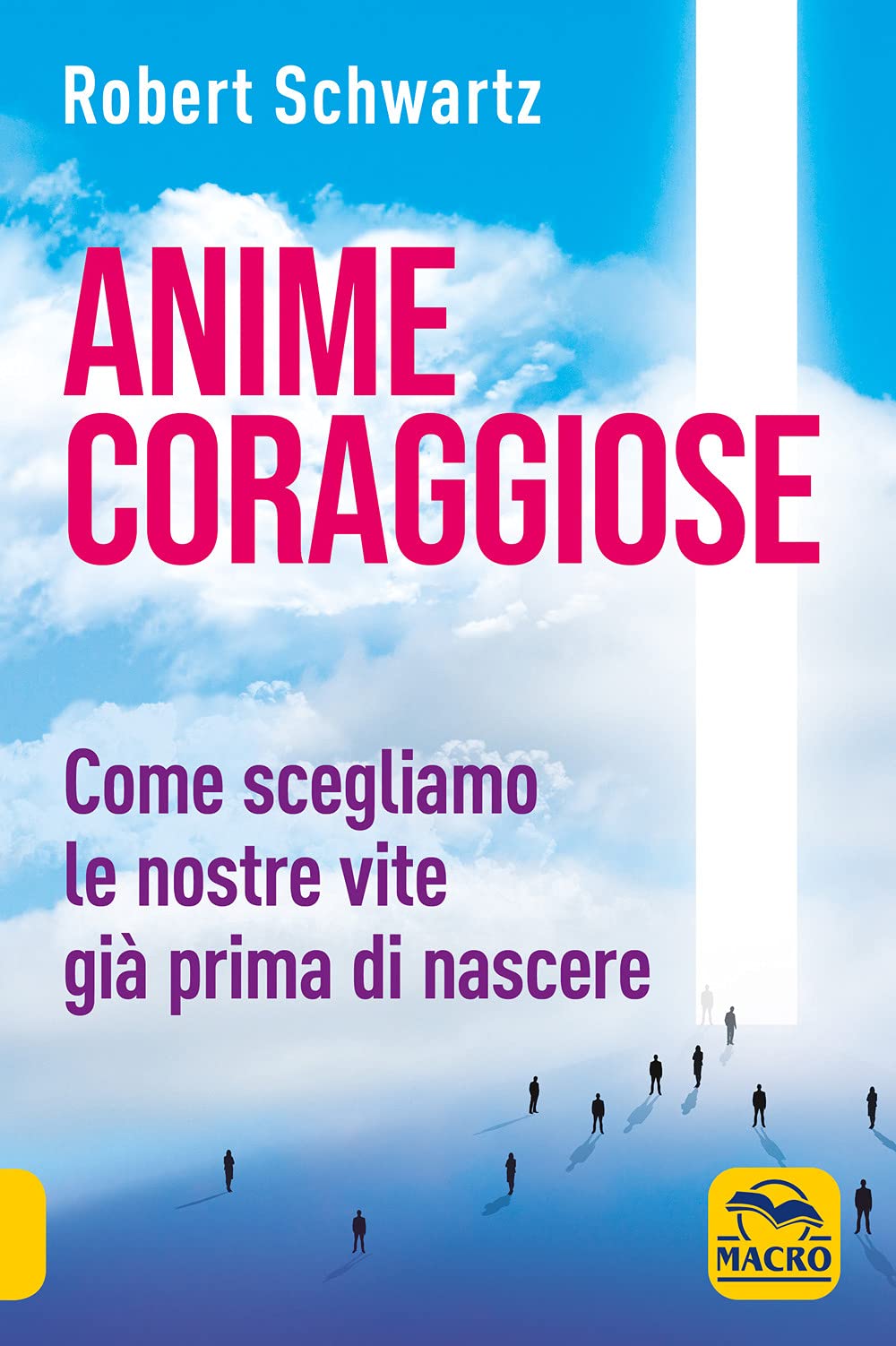 Anime coraggiose. Come scegliamo le nostre vite già prima di nascere book