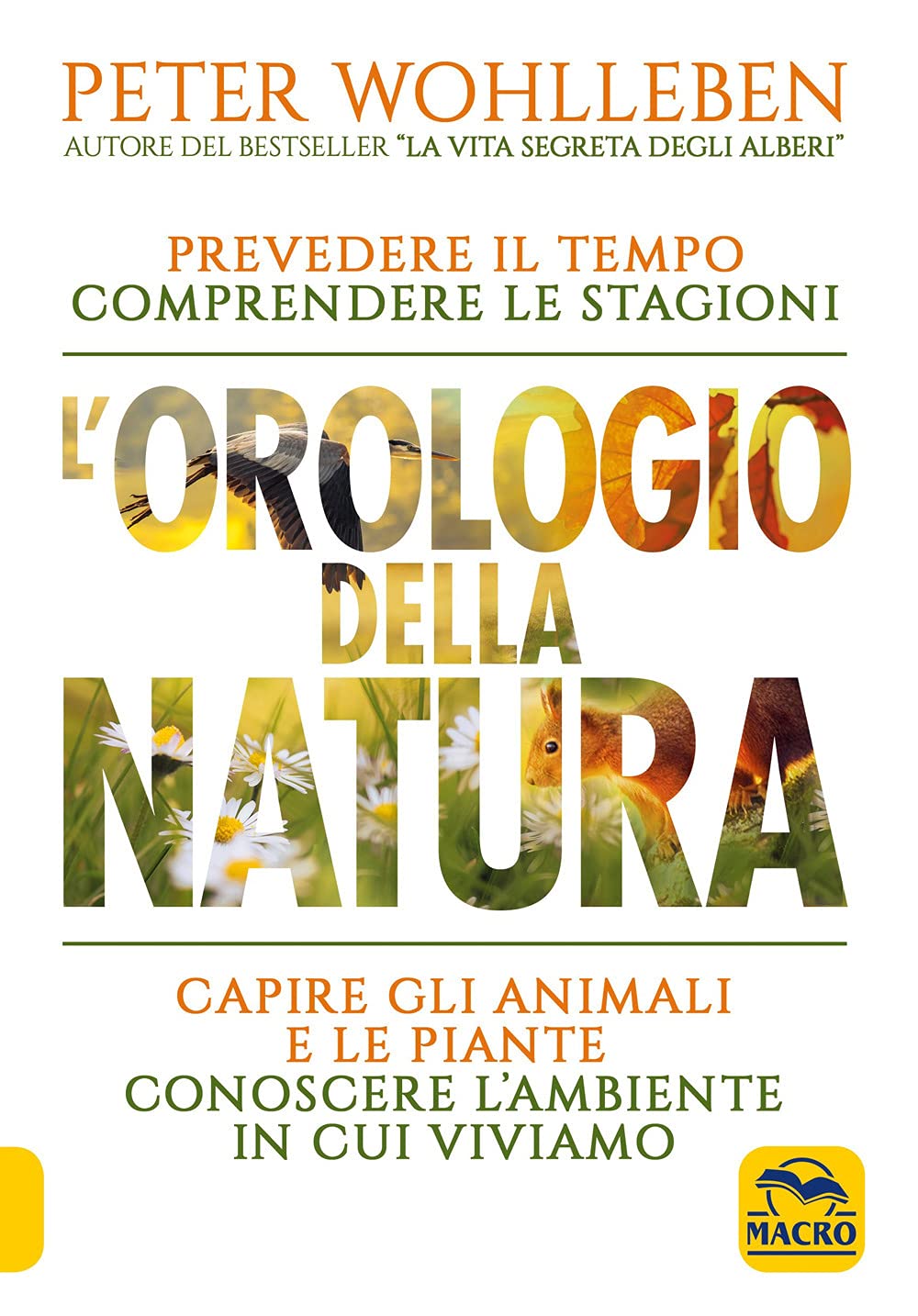 L'orologio della natura. Prevedere il tempo comprendere le stagioni capire gli animali e le piante conoscere l'ambiente in cui viviamo book