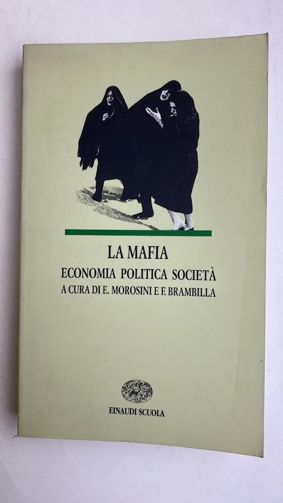 La mafia. Economia, politica, società book