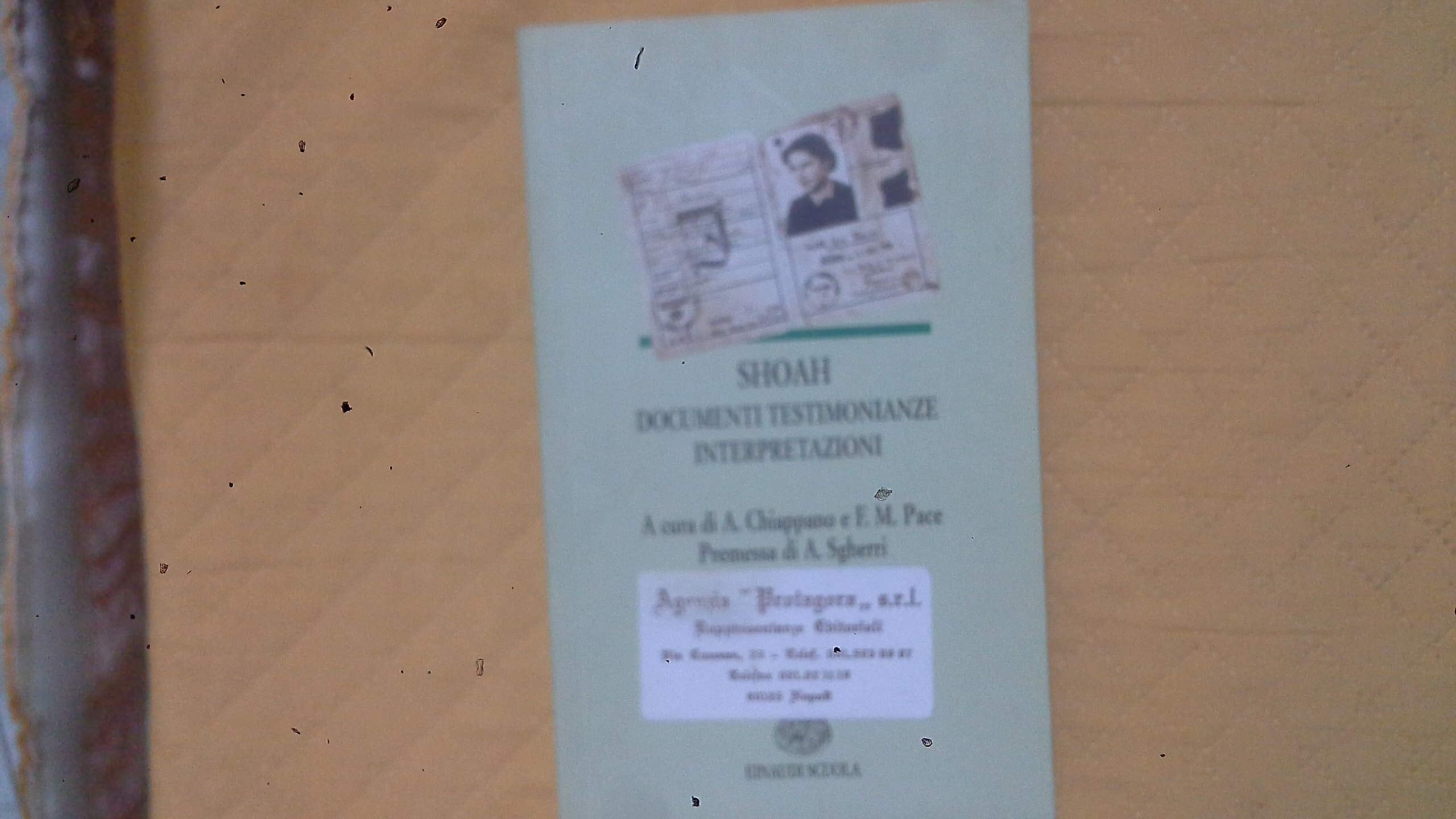 Shoah. Documenti, testimonianze, interpretazioni. Per le Scuole superiori book