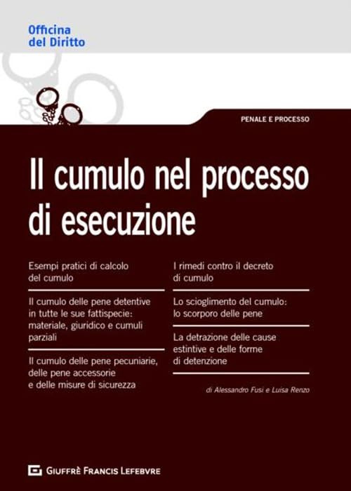 Il cumulo nel processo di esecuzione book