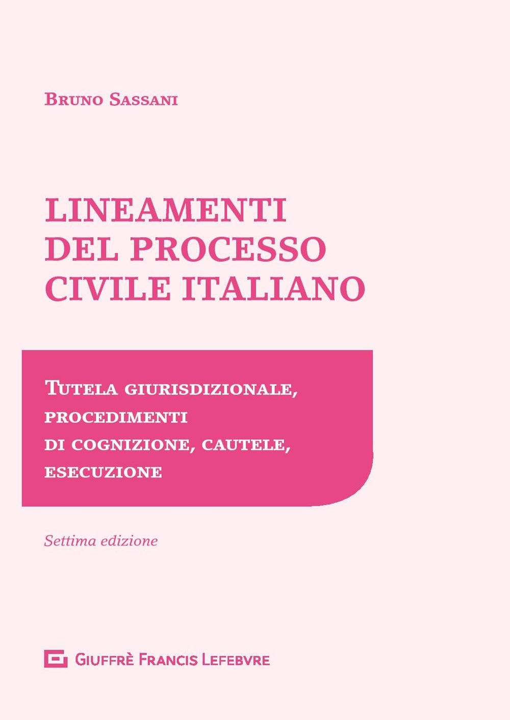 Lineamenti del processo civile italiano. Tutela giurisdizionale, procedimenti di cognizione, cautele, esecuzione Law