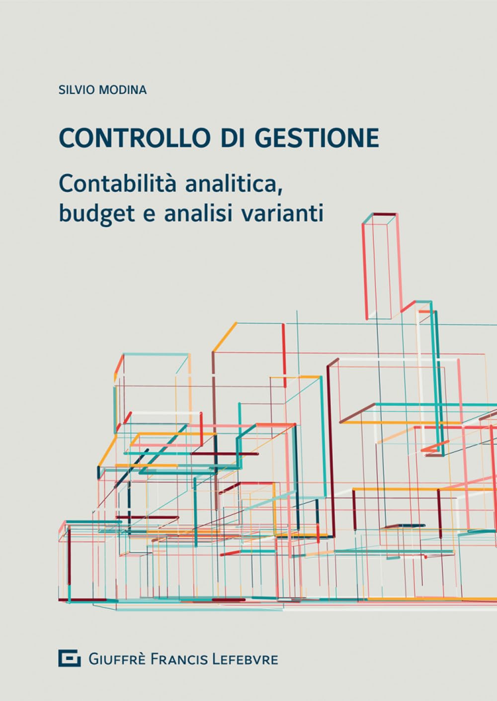 Controllo di gestione. Contabilità analitica, budget e analisi varianti book