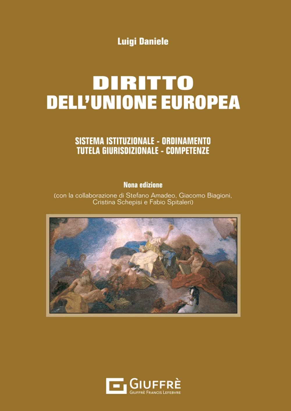 Diritto dell'Unione europea. Sistema istituzionale. Ordinamento. Tutela giurisdizionale. Competenze book