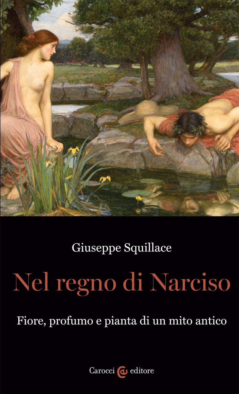 Nel regno di Narciso. Fiore, profumo e pianta di un mito antico book