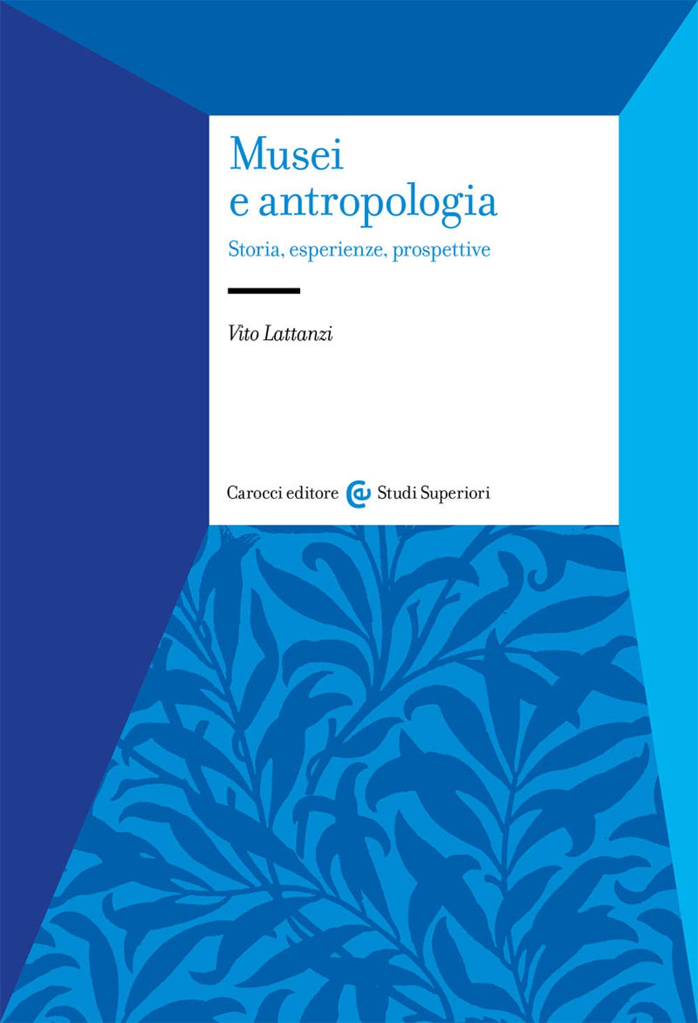 Musei e antropologia. Storia, esperienze, prospettive book