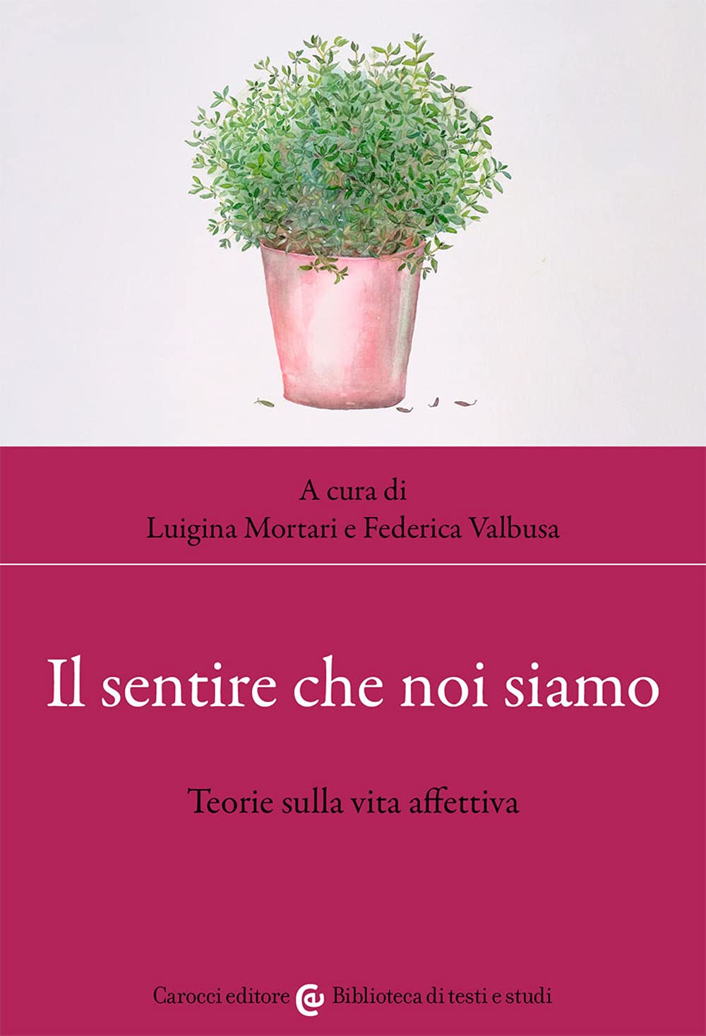 Il sentire che noi siamo. Teorie sulla vita affettiva book