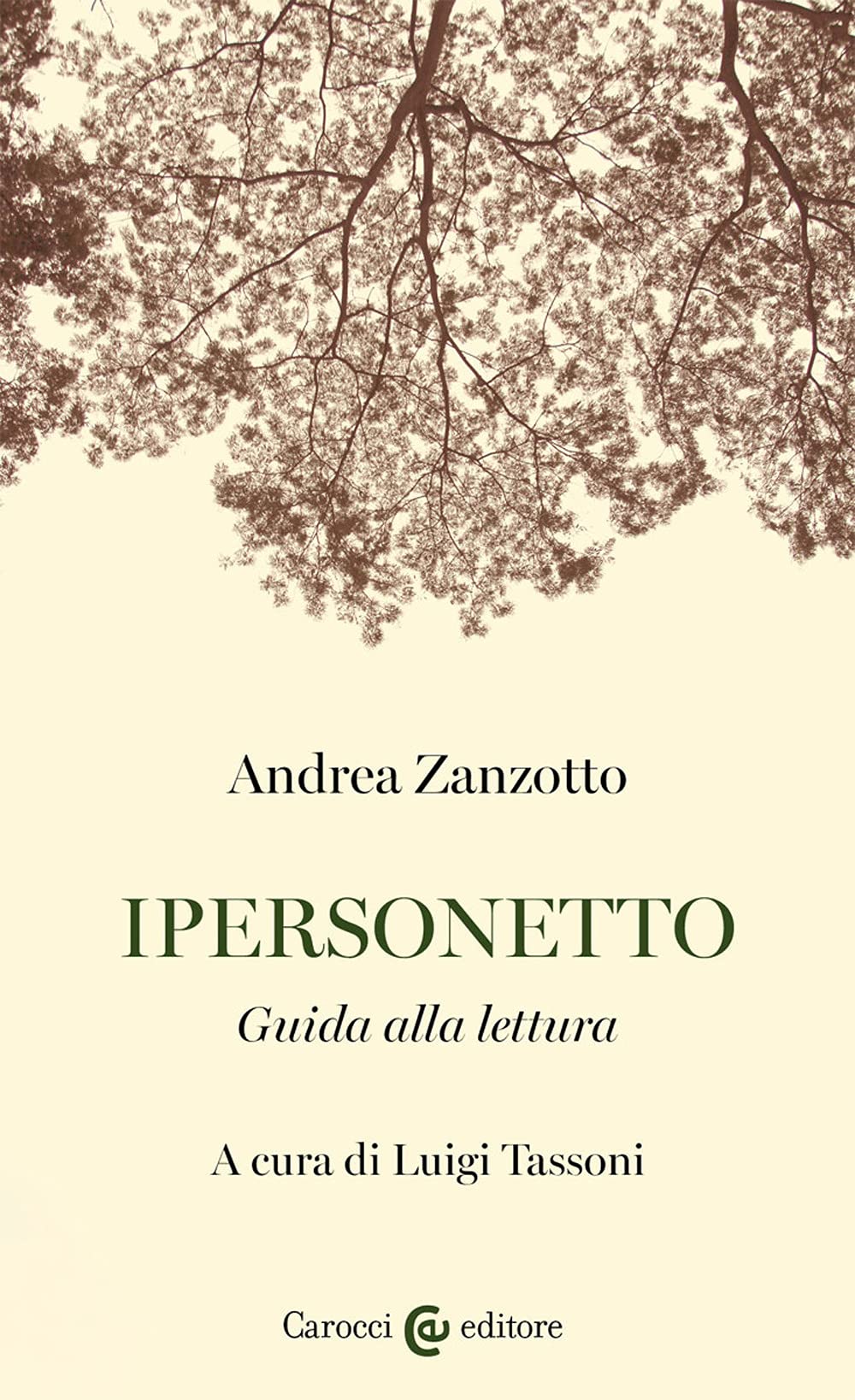 Ipersonetto (Lingue e letterature Carocci) Poetry