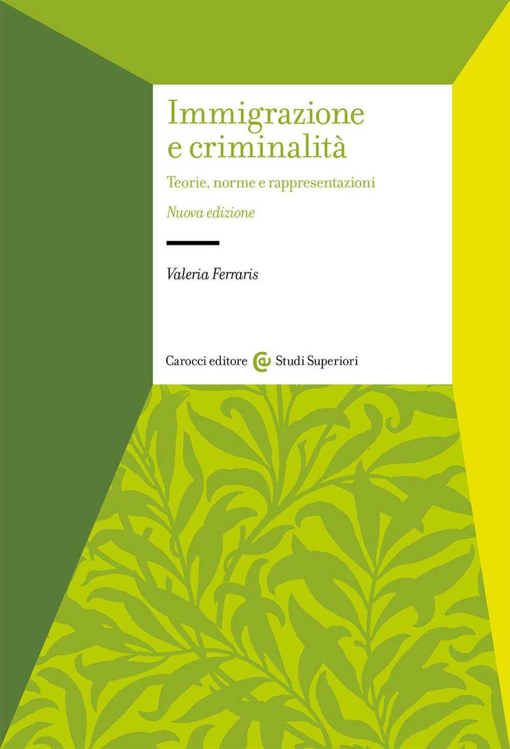 Immigrazione e criminalità. Teorie, norme e rappresentazioni. Nuova ediz. book