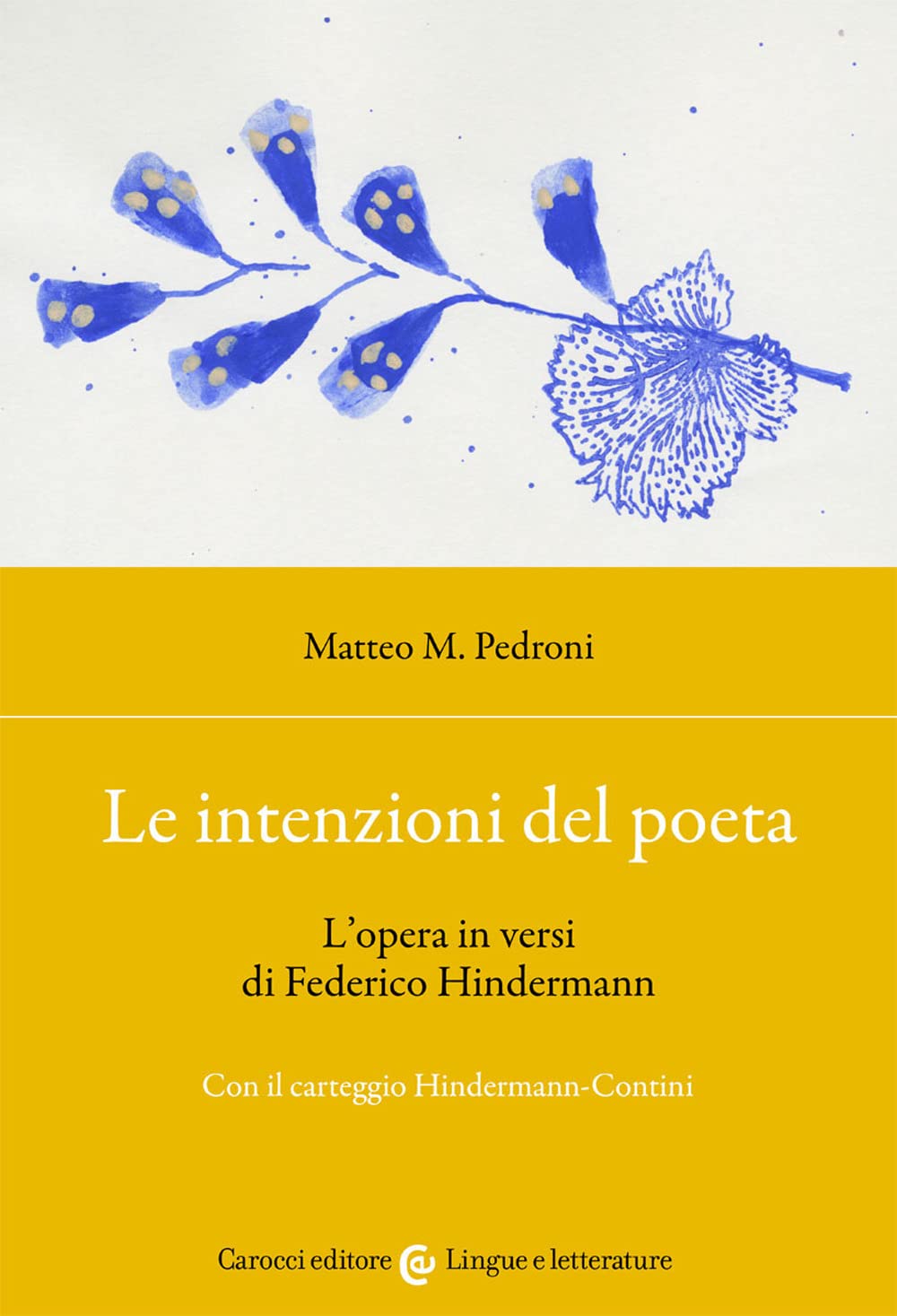 Le intenzioni del poeta. L'opera in versi di Federico Hindermann. Con il carteggio Hindermann-Contini (Lingue e letterature Carocci) Contemporary literature Books