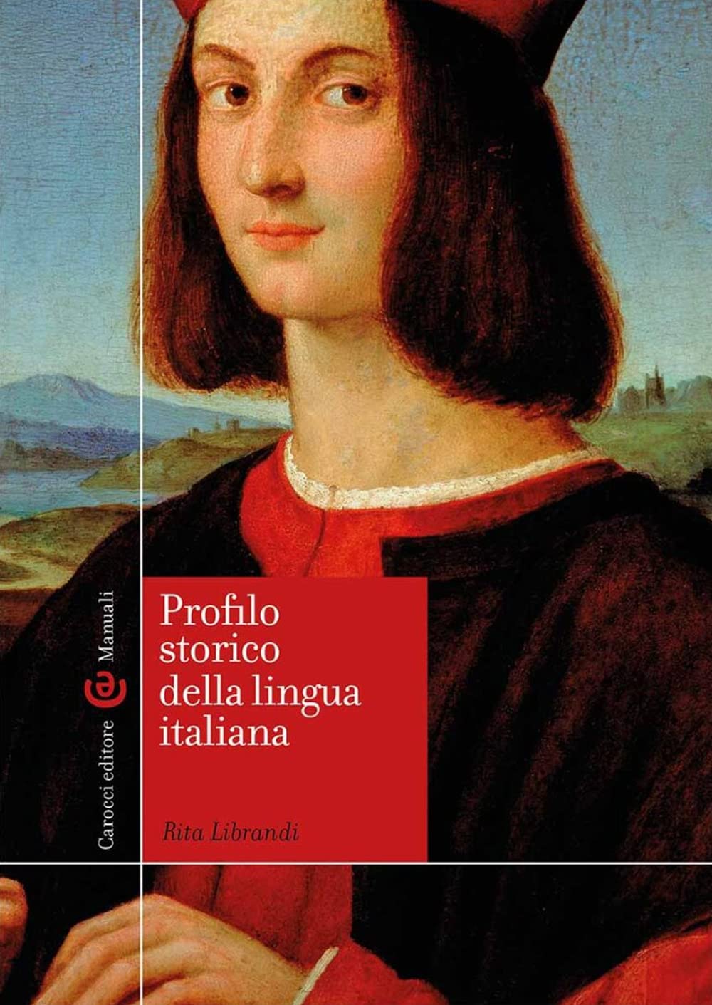 Profilo storico della lingua italiana book