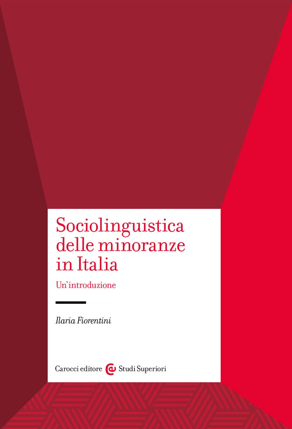 Sociolinguistica delle minoranze in Italia. Un'introduzione book