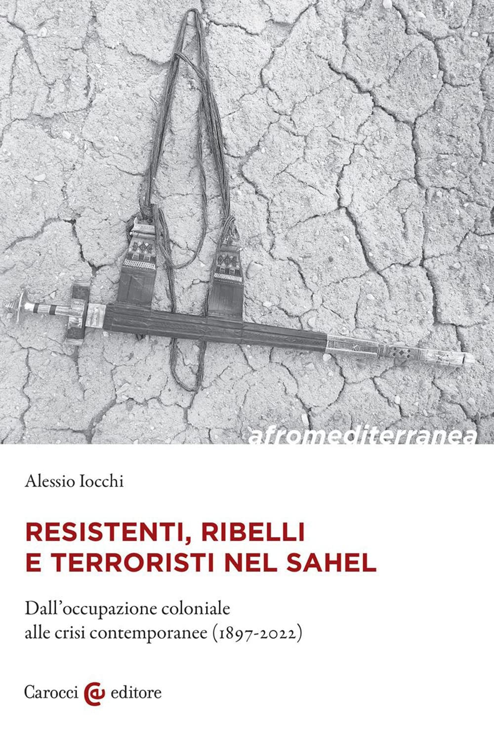 Resistenti, ribelli e terroristi nel Sahel. Dall'occupazione coloniale alle crisi contemporanee (1897-2022) book