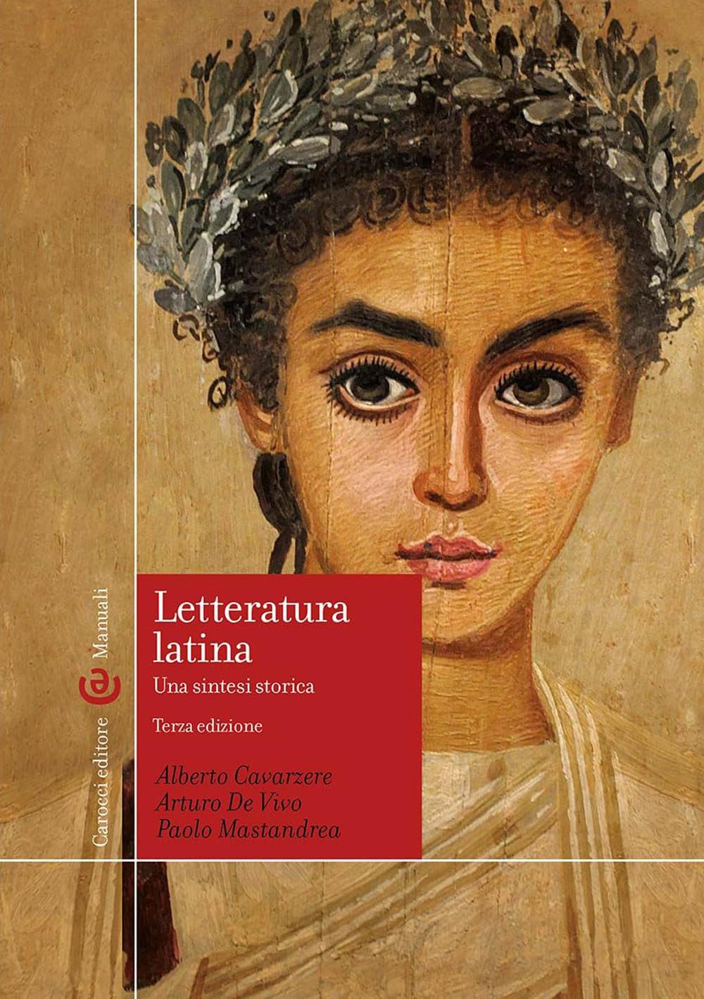 Letteratura latina. Una sintesi storica book