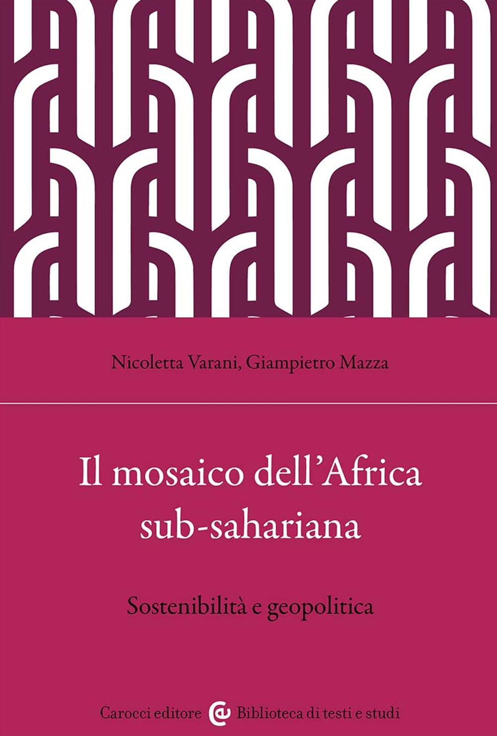 Il mosaico dell'Africa sub-sahariana. Sostenibilità e geopolitica book