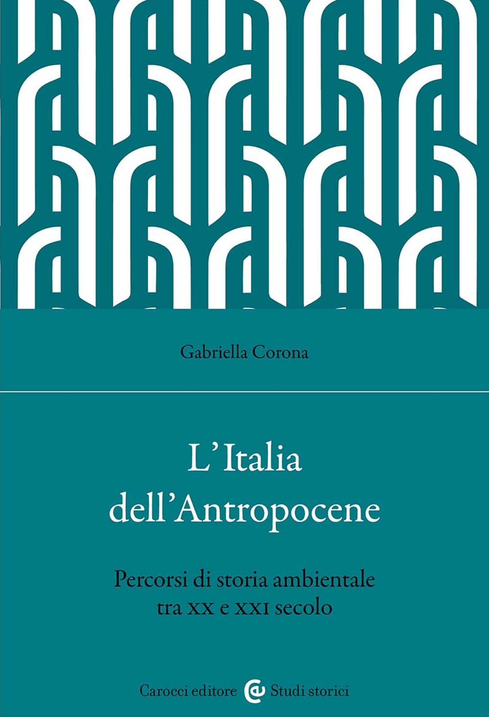 L'Italia dell'Antropocene. Percorsi di storia ambientale tra XX e XXI secolo book