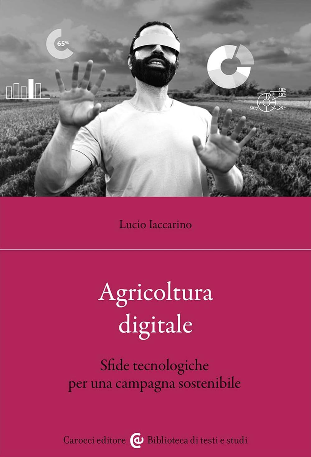 Agricoltura digitale. Sfide tecnologiche per una campagna sostenibile book