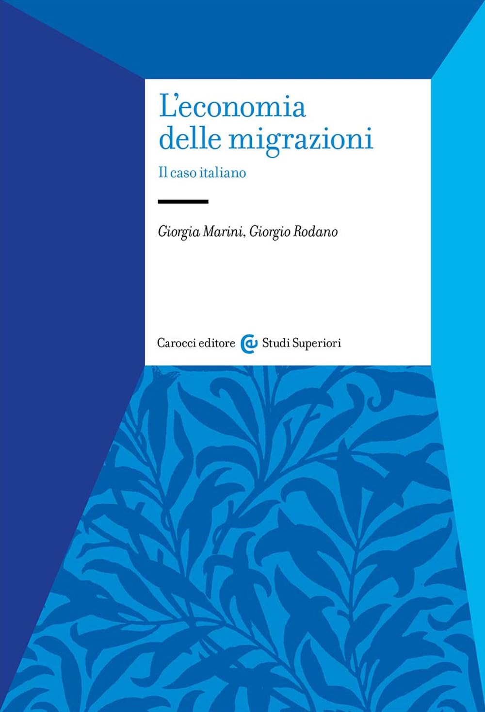 L'economia delle migrazioni. Il caso italiano book