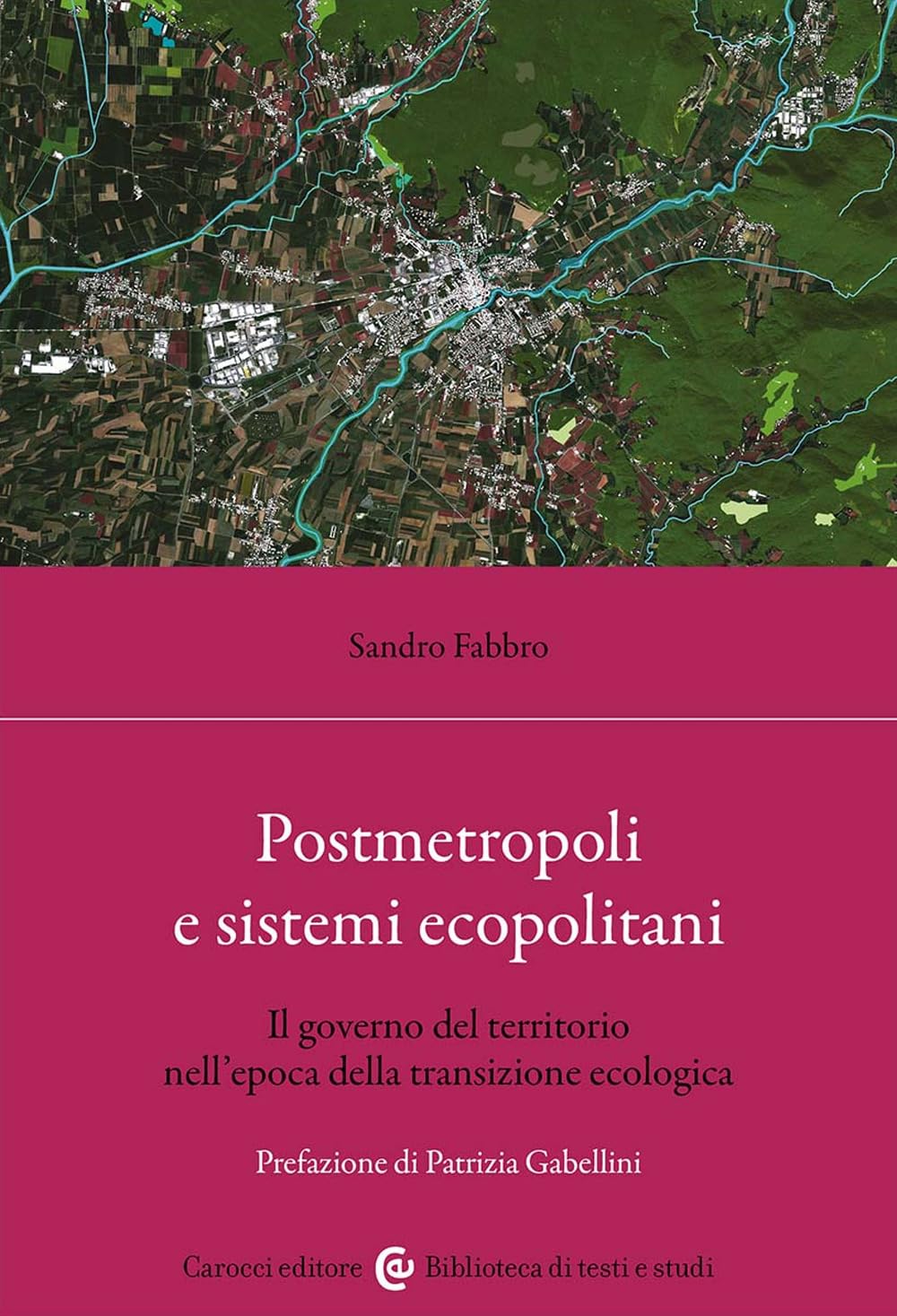 Postmetropoli e sistemi ecopolitani. Il governo del territorio nell'epoca della transizione ecologica book