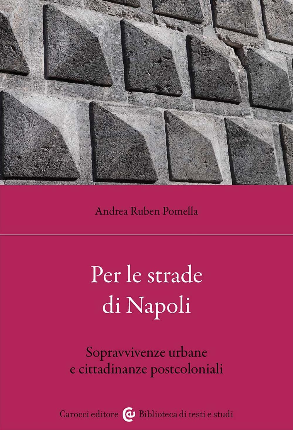 Per le strade di Napoli. Sopravvivenze urbane e cittadinanze postcoloniali book