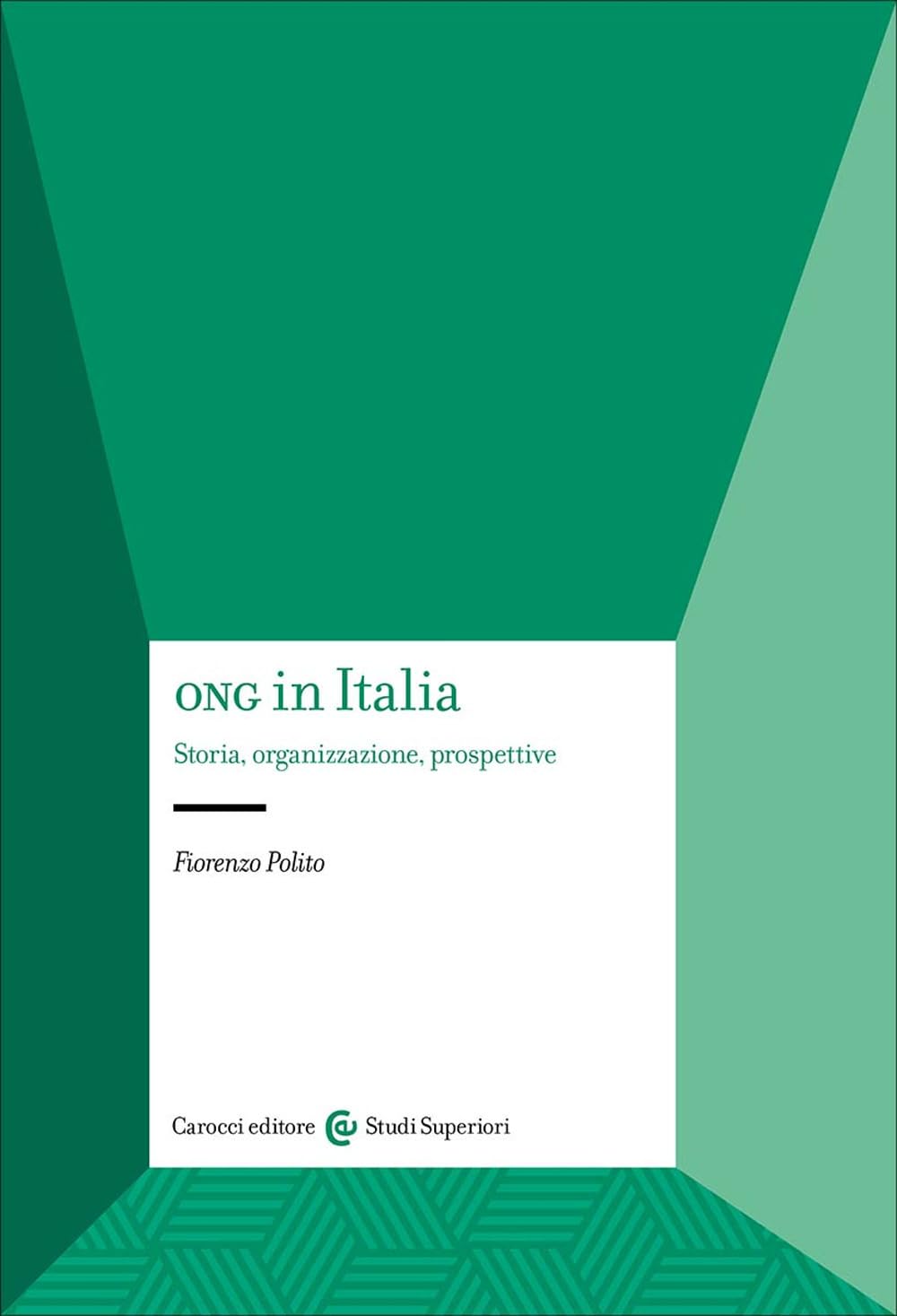 ONG in Italia. Storia, organizzazione, prospettive book