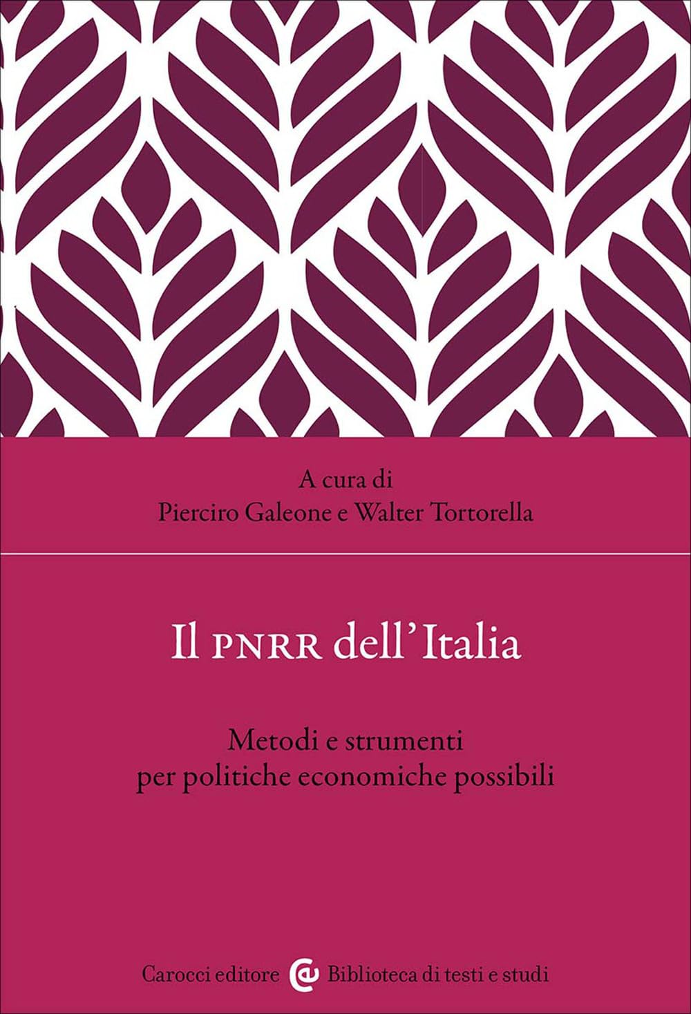 Il PNRR dell'Italia. Metodi e strumenti per politiche economiche possibili (Biblioteca di testi e studi) Business & Technology