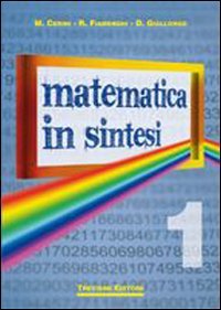 Matematica in sintesi. Per le Scuole superiori (Vol. 1) Professional & Reference Books