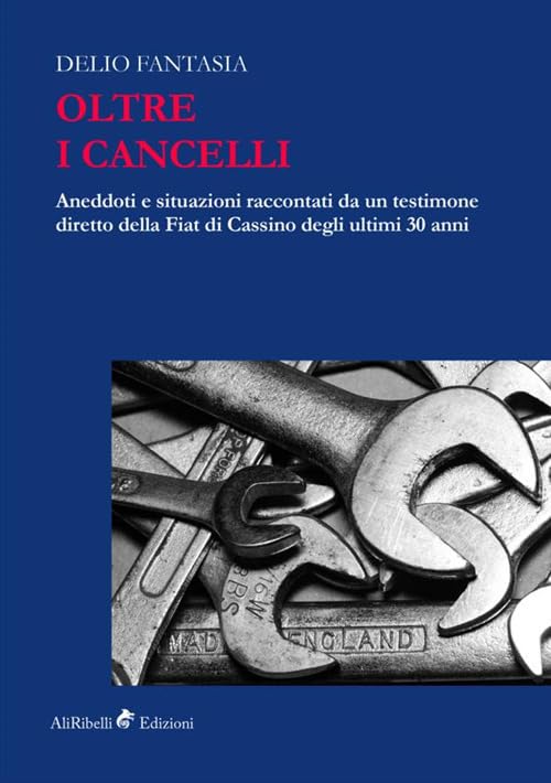 Oltre i Cancelli: Aneddoti e situazioni raccontati da un testimone diretto della Fiat di Cassino degli ultimi 30 anni Social Sciences