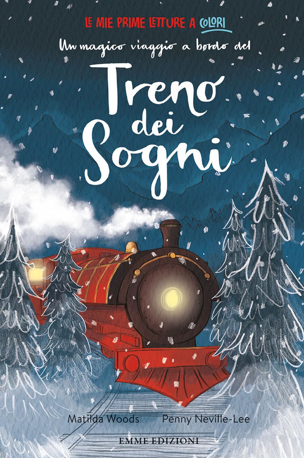 Un magico viaggio a bordo del treno dei sogni. Ediz. a colori book