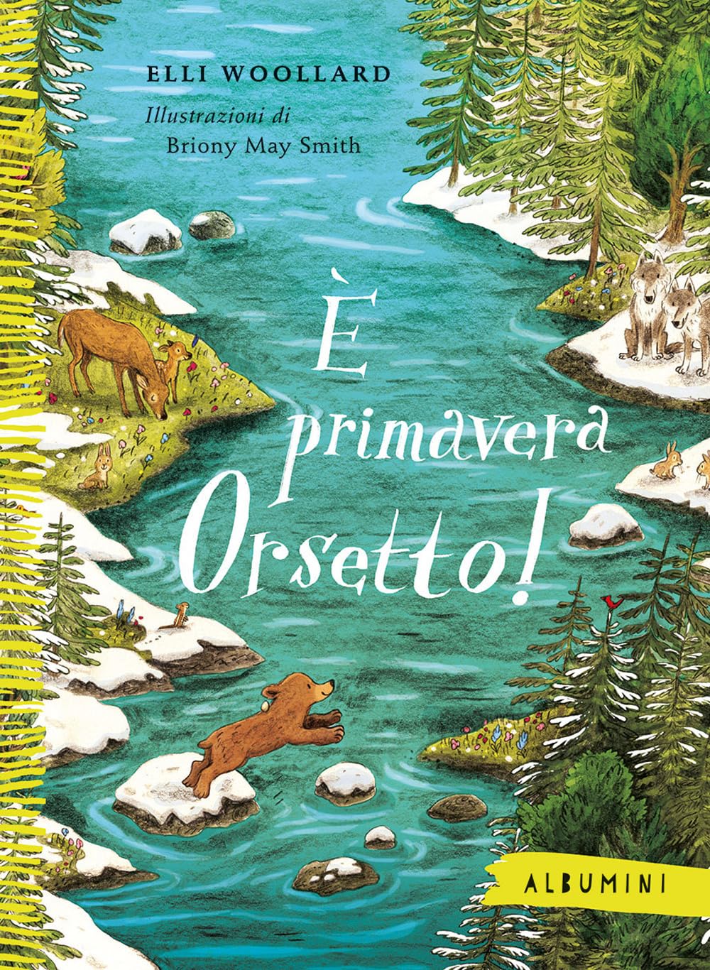 È primavera Orsetto! Ediz. a colori book