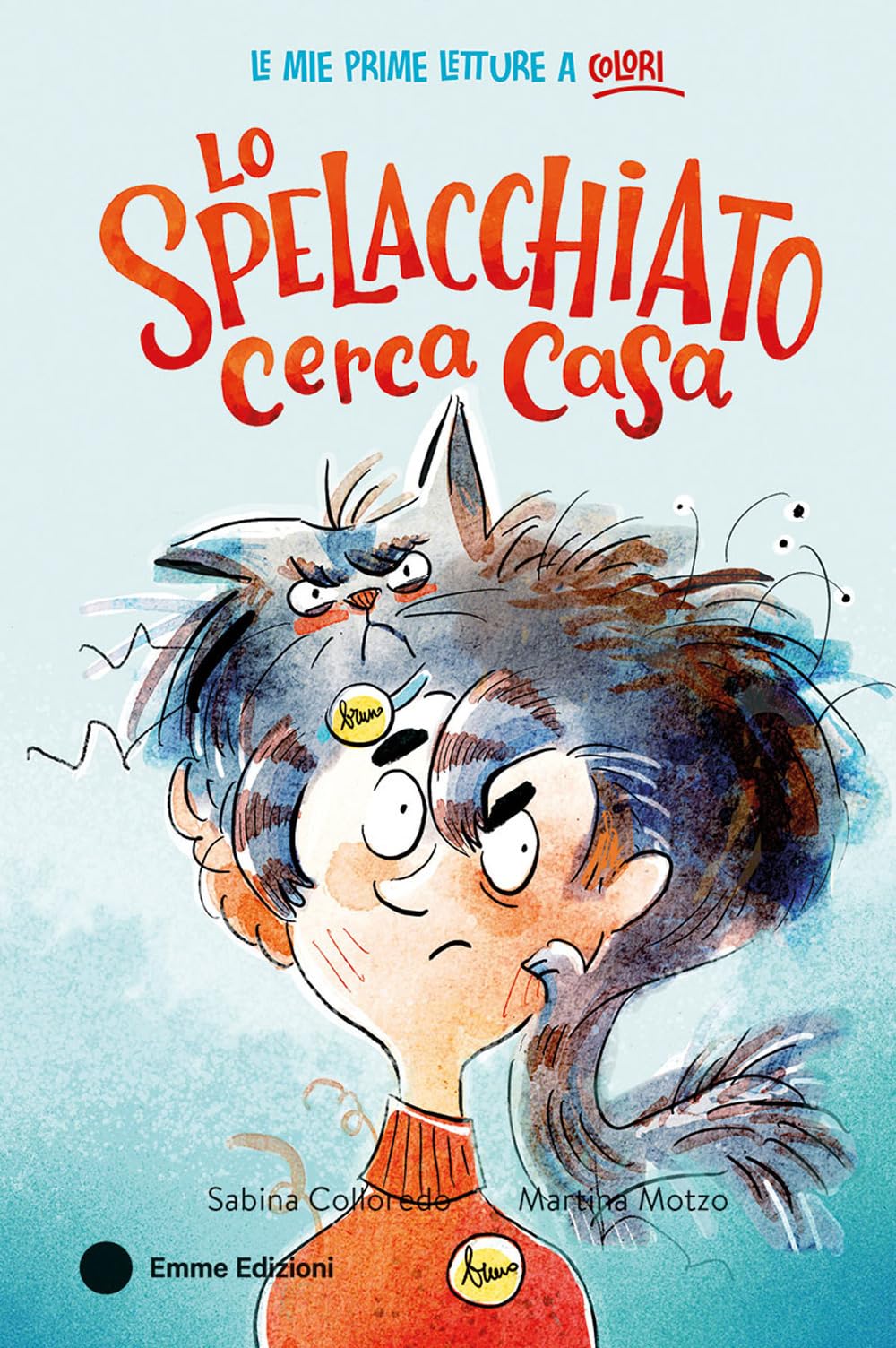 Lo spelacchiato cerca casa. Ediz. a colori book
