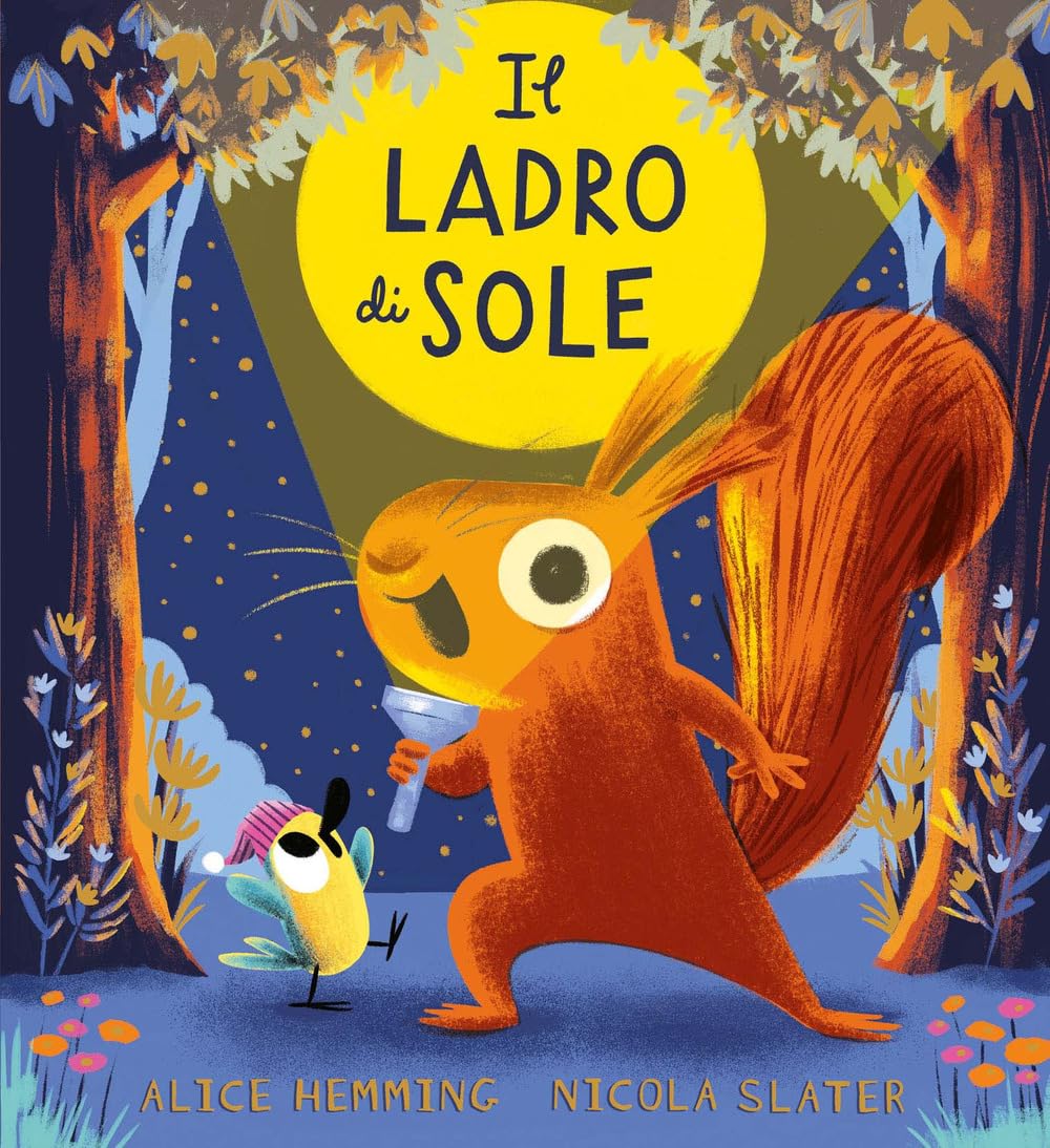 Il ladro di sole. Ediz. a colori book