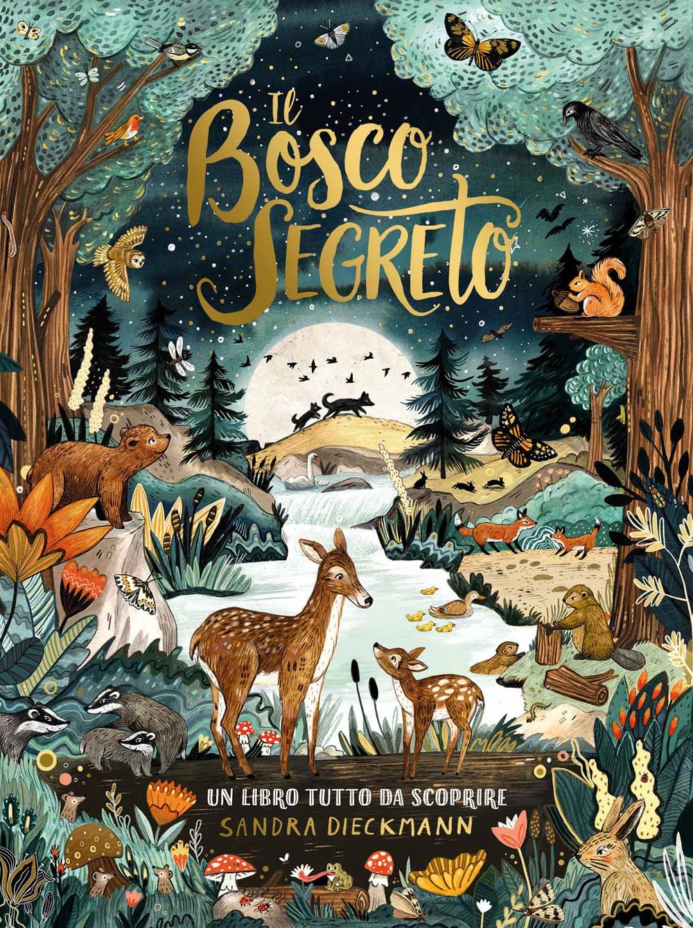 Il bosco segreto. Ediz. a colori book