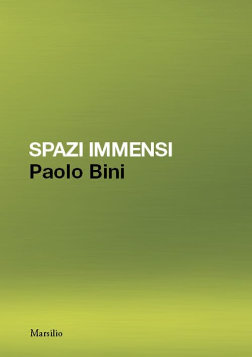 Paolo Bini. Spazi immensi. Ediz. a colori book