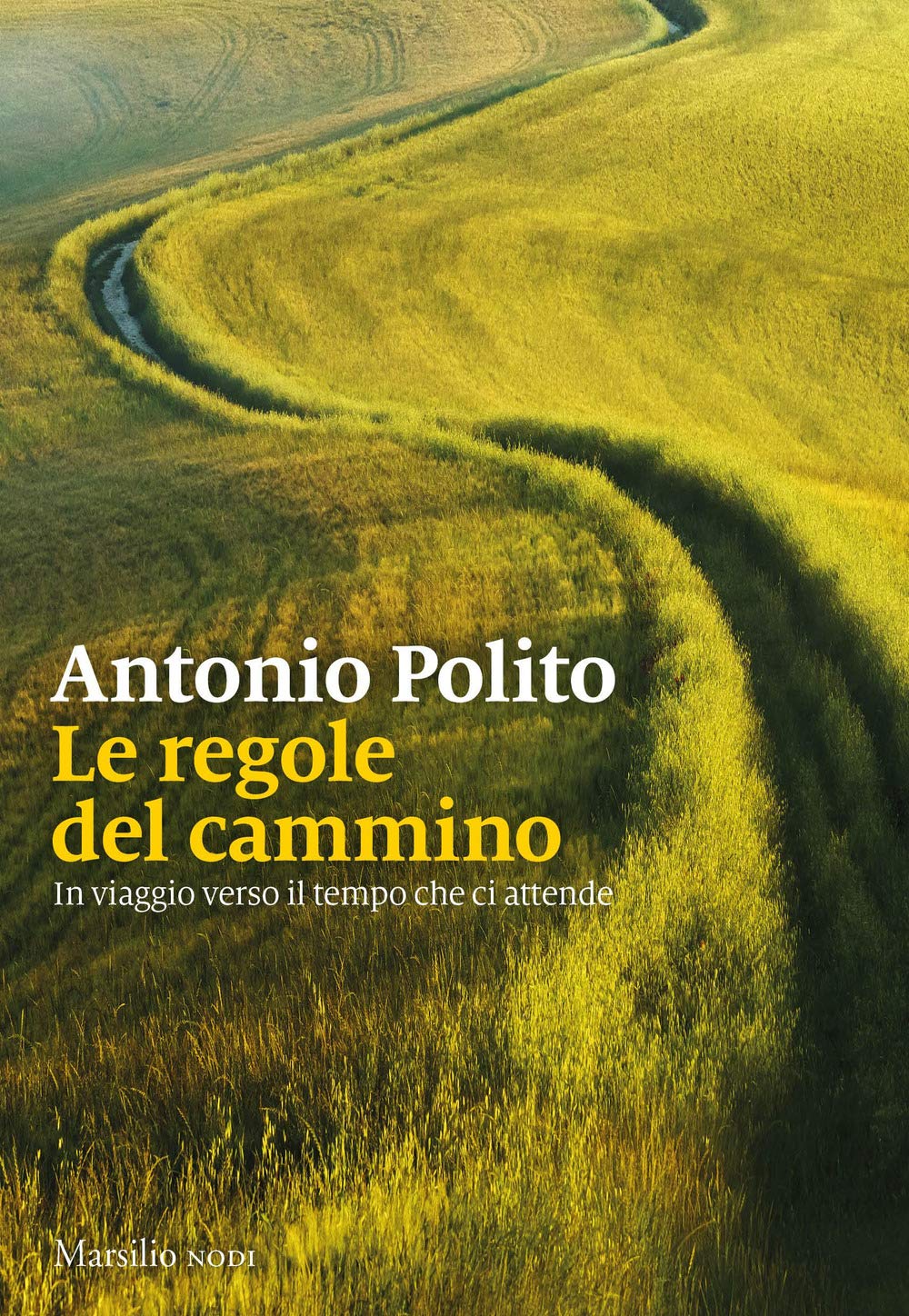 Le regole del cammino. In viaggio verso il tempo che ci attende book