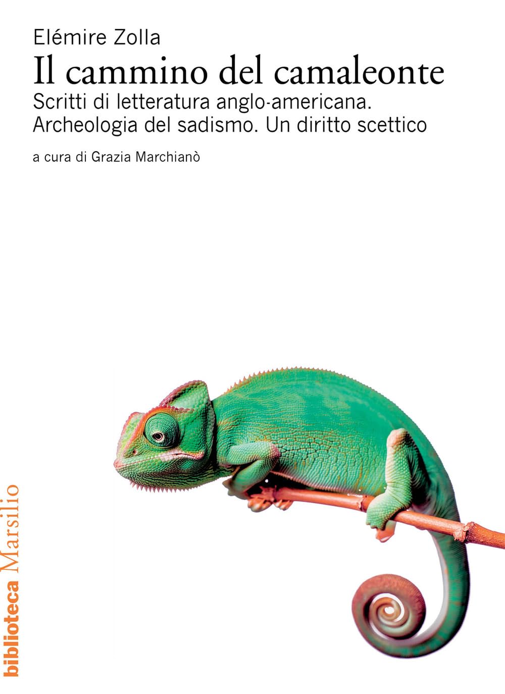 Il cammino del camaleonte. Scritti di letteratura anglo-americana. Archeologia del sadismo. Un diritto scettico book