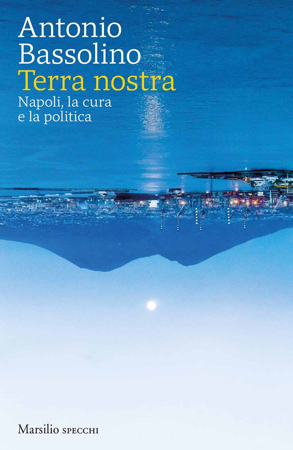Terra nostra. Napoli, la cura e la politica book