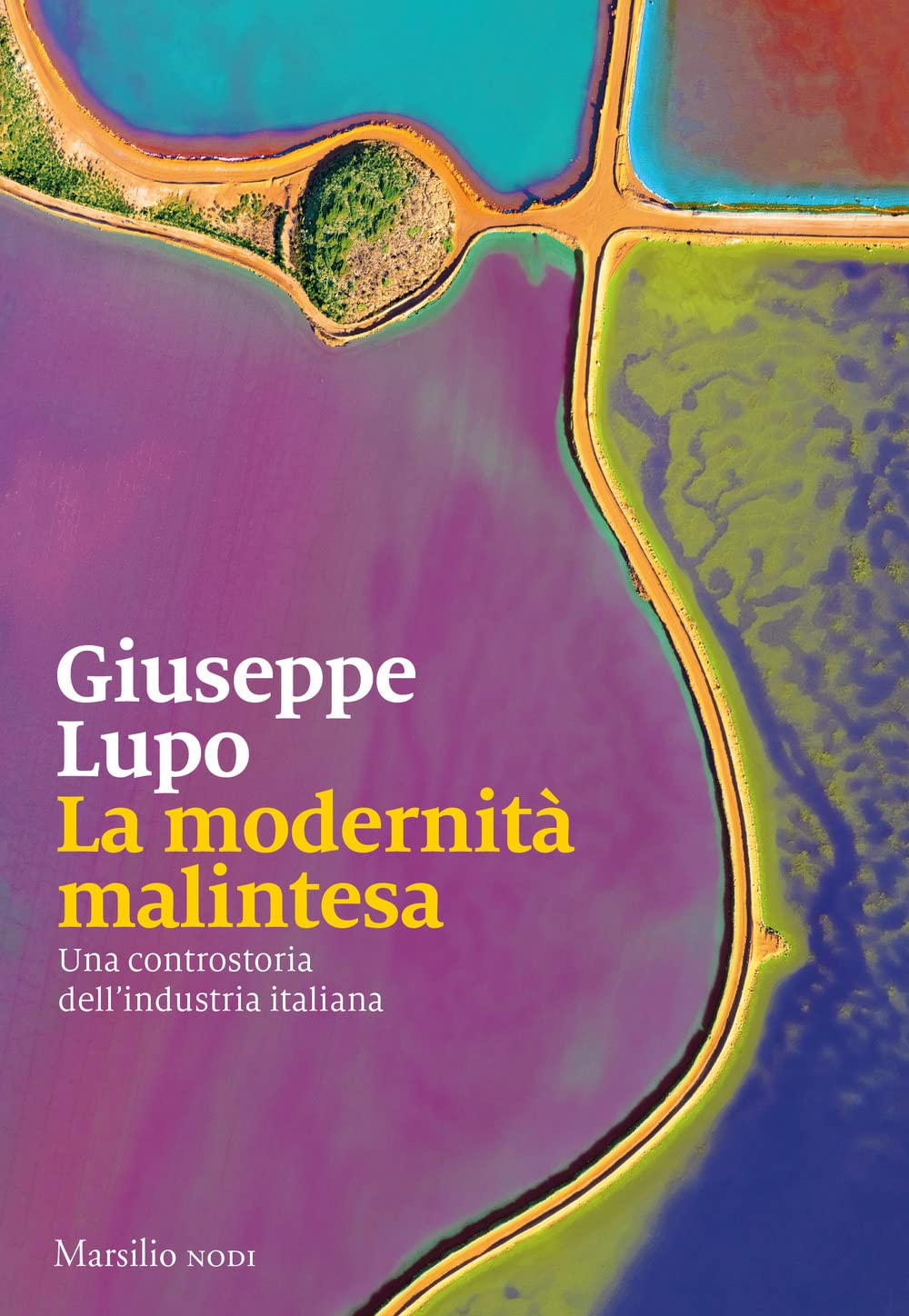 La modernità malintesa. Una controstoria dell'industria italiana Business, Finance & Career