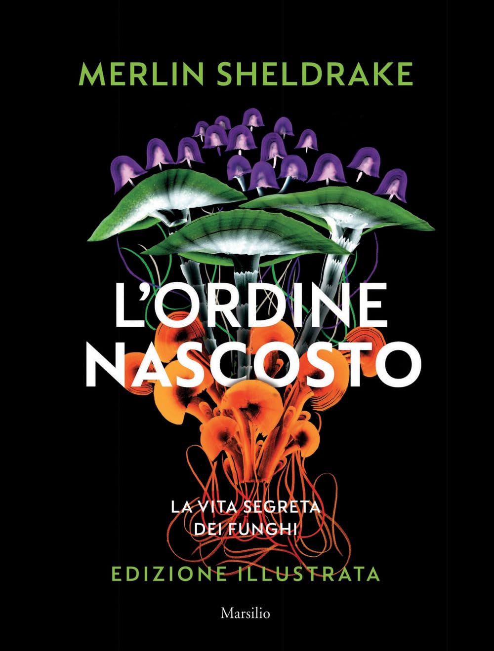 L'ordine nascosto. Ediz. a colori book
