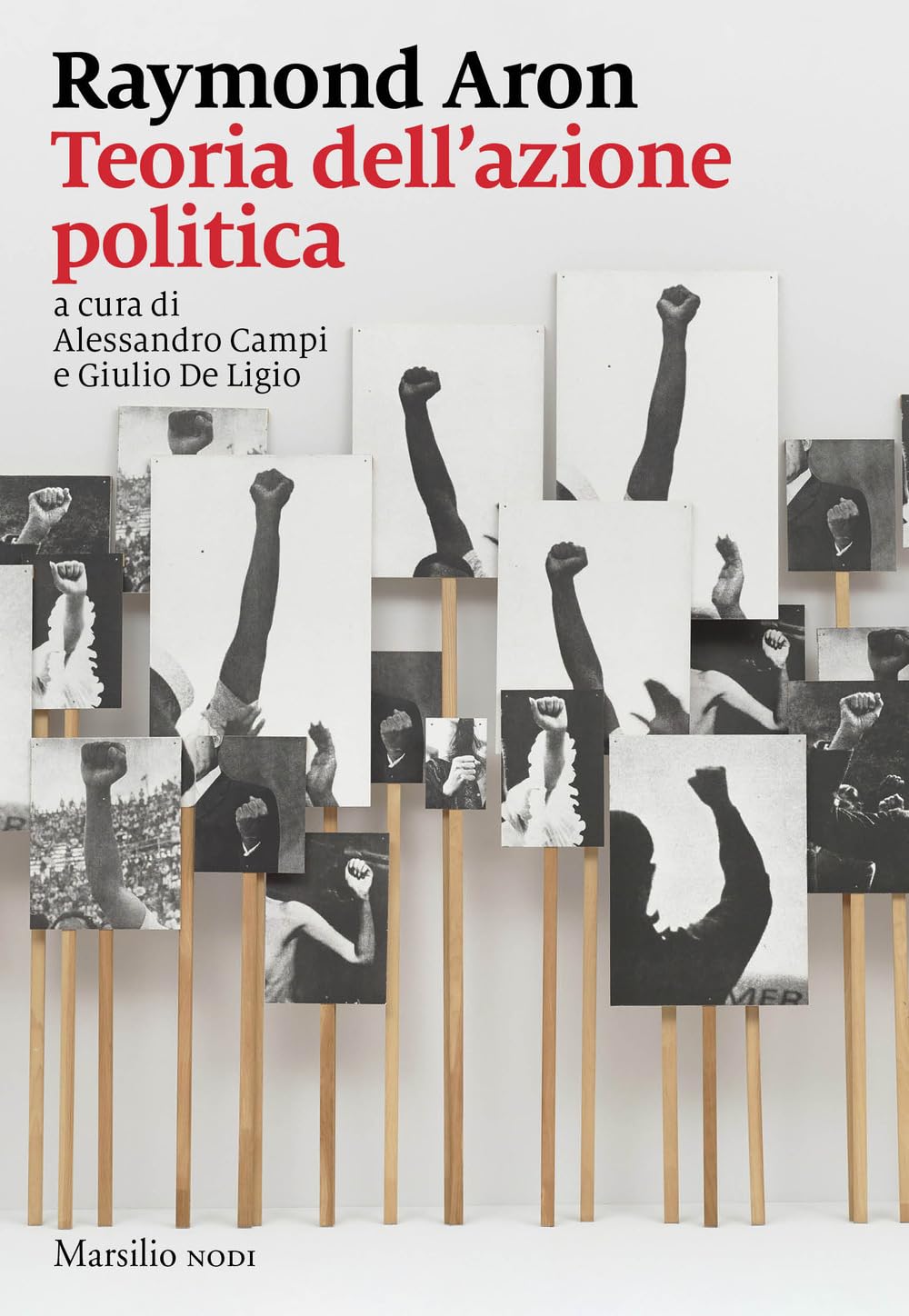 Teoria dell'azione politica Philosophy