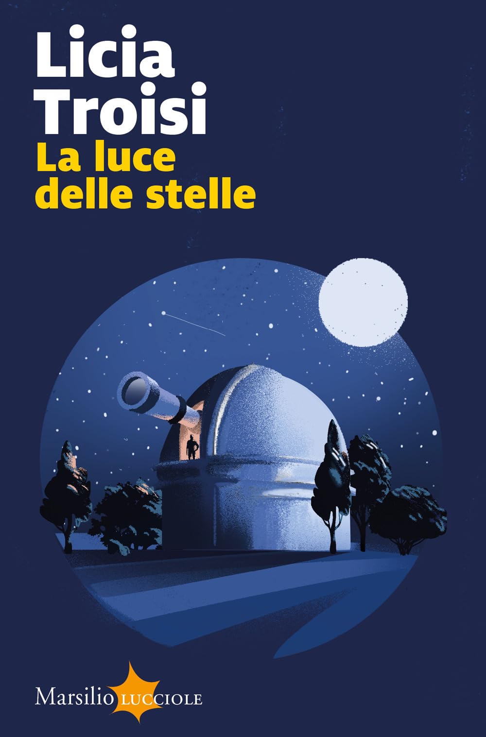 La luce delle stelle (Lucciole) Contemporary literature
