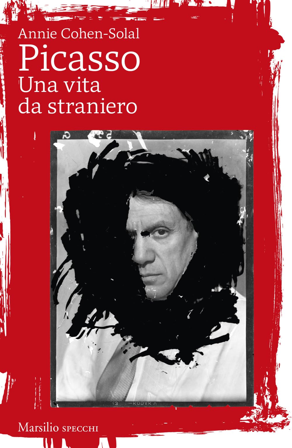 Picasso. Una vita da straniero Books