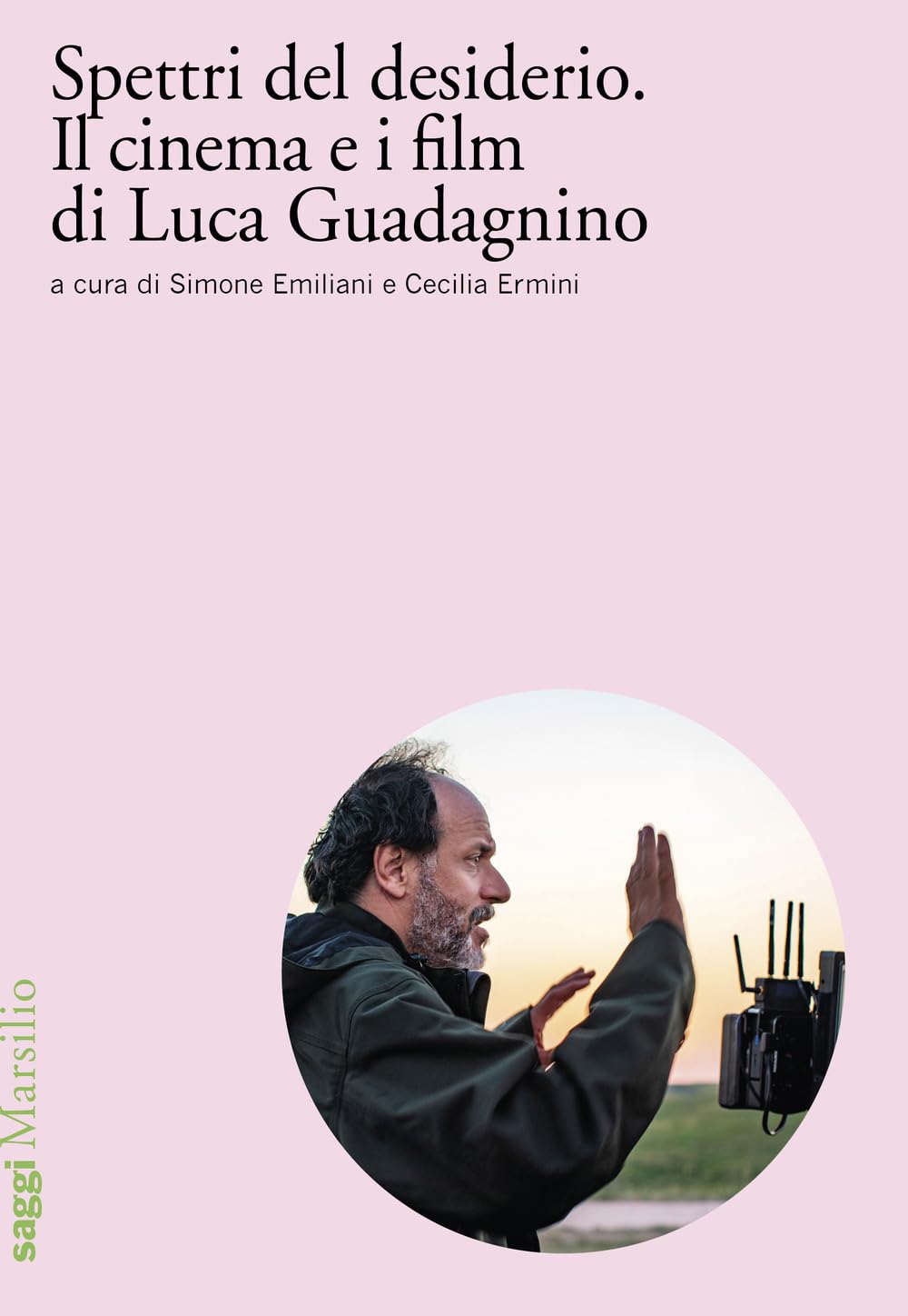 Spettri del desiderio. Il cinema e i film di Luca Guadagnino book