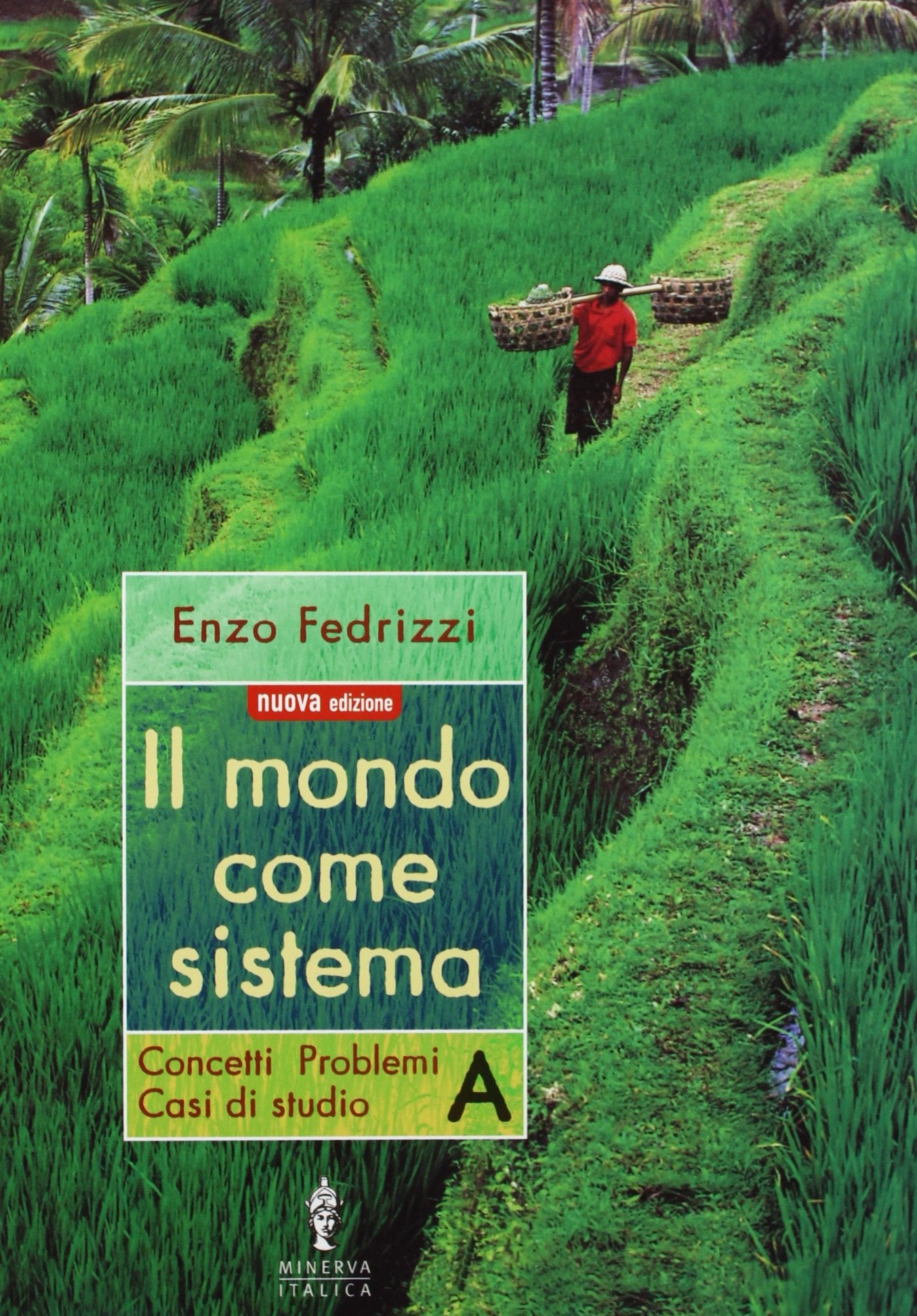 Il mondo come sistema. Corso di geografia per il biennio (Vol. 1) book