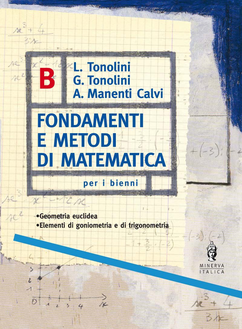 Fondamenti e metodi di matematica. Geometria. Vol. B. Per le Scuole superiori Professional & Reference Books