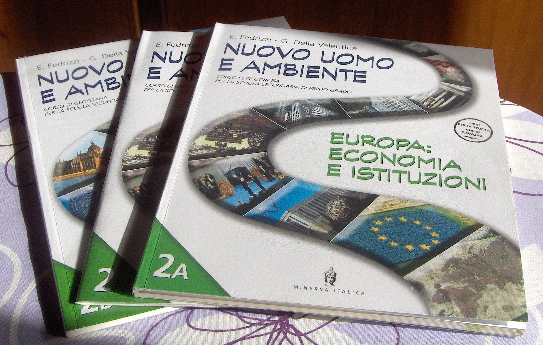 Nuovo uomo e ambiente. Istituzioni ed economia dell'Europa. Con schede (Vol. 2) book