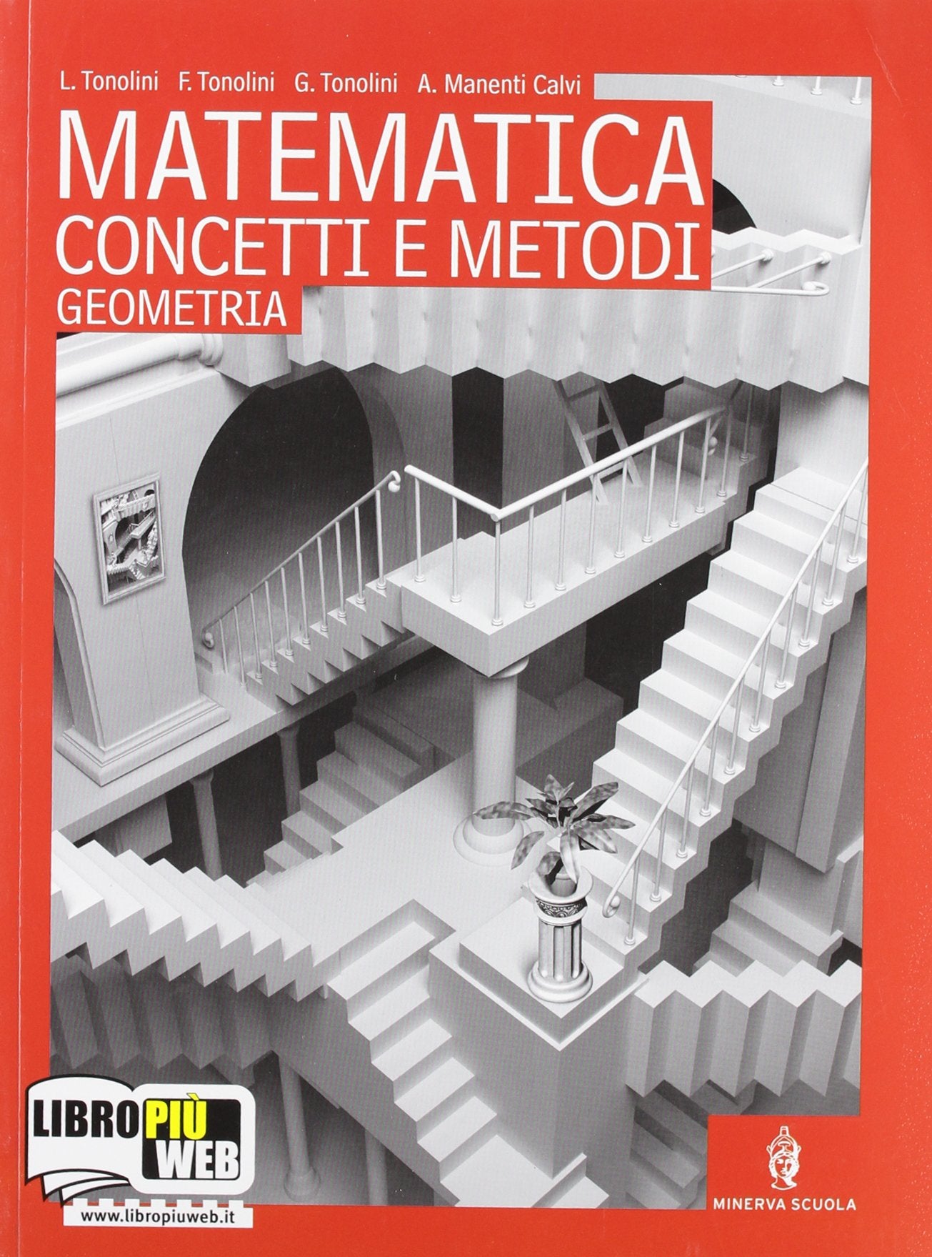 Matematica concetti e metodi. Geometria. Per le Scuole superiori. Con espansione online book