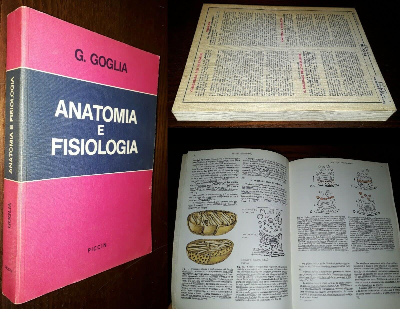 Anatomia e fisiologia per infermieri book