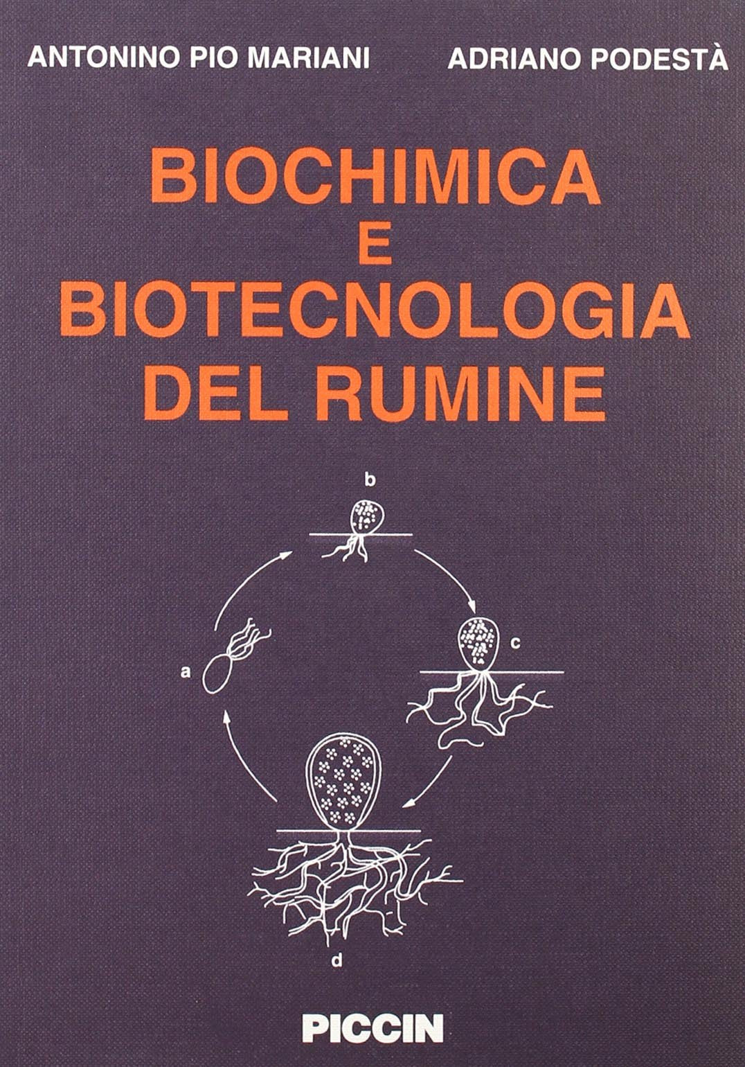Biochimica e biotecnologia del rumine Natural Sciences